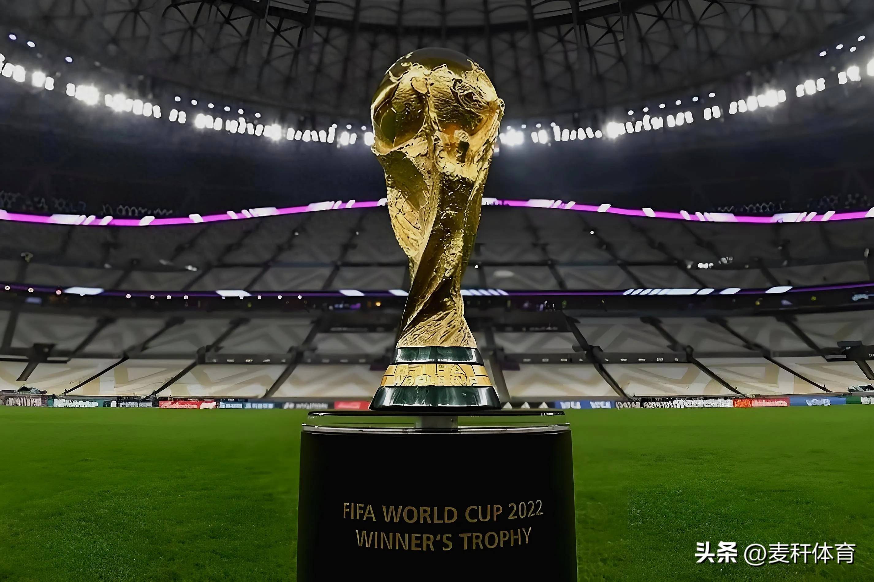 塞尔维亚队 塞尔维亚队